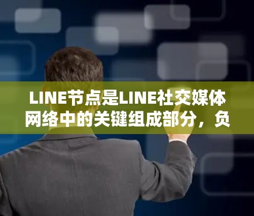 LINE节点是LINE社交媒体网络中的关键组成部分，负责数据存储、处理和传输，确保服务的稳定和安全。以下是对LINE节点的详细分析