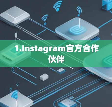 1.Instagram官方合作伙伴