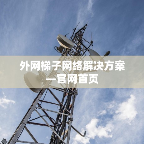 外网梯子网络解决方案—官网首页