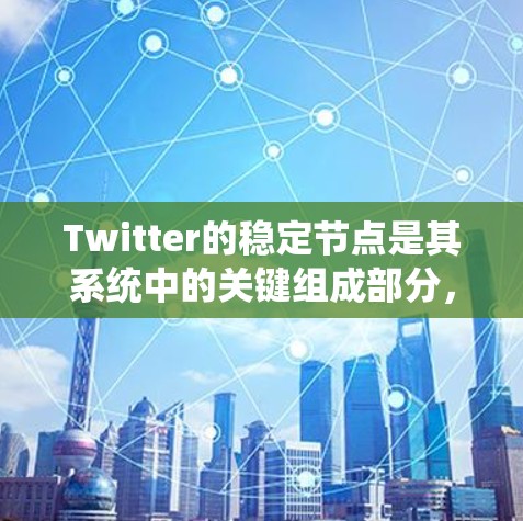 Twitter的稳定节点是其系统中的关键组成部分，确保了服务的高可用性和可靠性。这些节点通过分布式计算、负载均衡、容灾备份和安全机制来实现目标。以下是对这些节点的详细分析