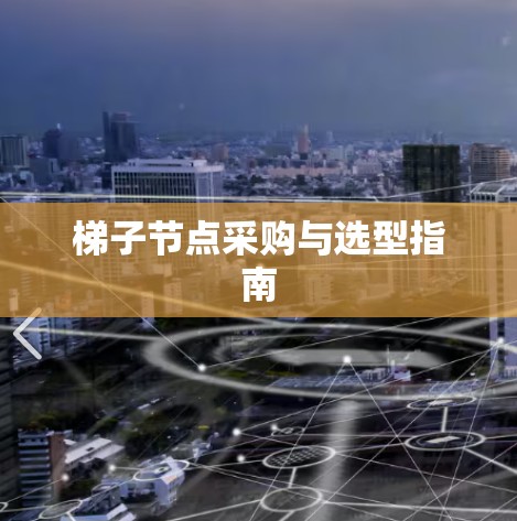 梯子节点采购与选型指南
