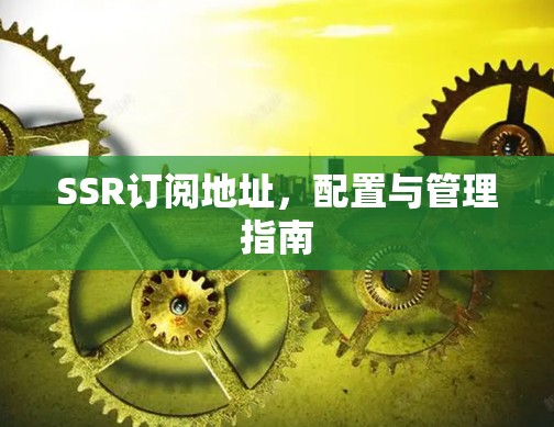 SSR订阅地址，配置与管理指南
