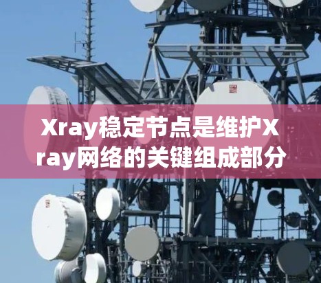 Xray稳定节点是维护Xray网络的关键组成部分，确保网络的可靠性和安全性。以下是关于Xray稳定节点的详细解析