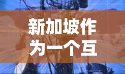新加坡作为一个互联网严格监管的国家，对VPN（虚拟专用网）有严格的法律法规。新加坡政府高度重视网络安全和信息安全，对互联网的使用有严格的监管，包括对VPN服务的限制和规范