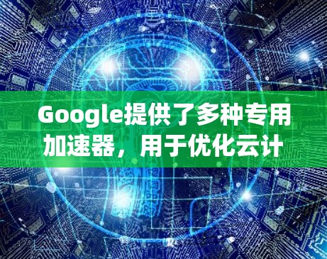 Google提供了多种专用加速器，用于优化云计算、数据处理和AI任务。以下是对这些加速器的分类、功能及其优势的详细介绍