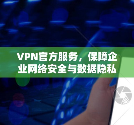 VPN官方服务，保障企业网络安全与数据隐私