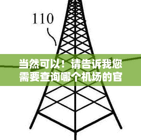当然可以！请告诉我您需要查询哪个机场的官方网站，我会为您提供相关链接